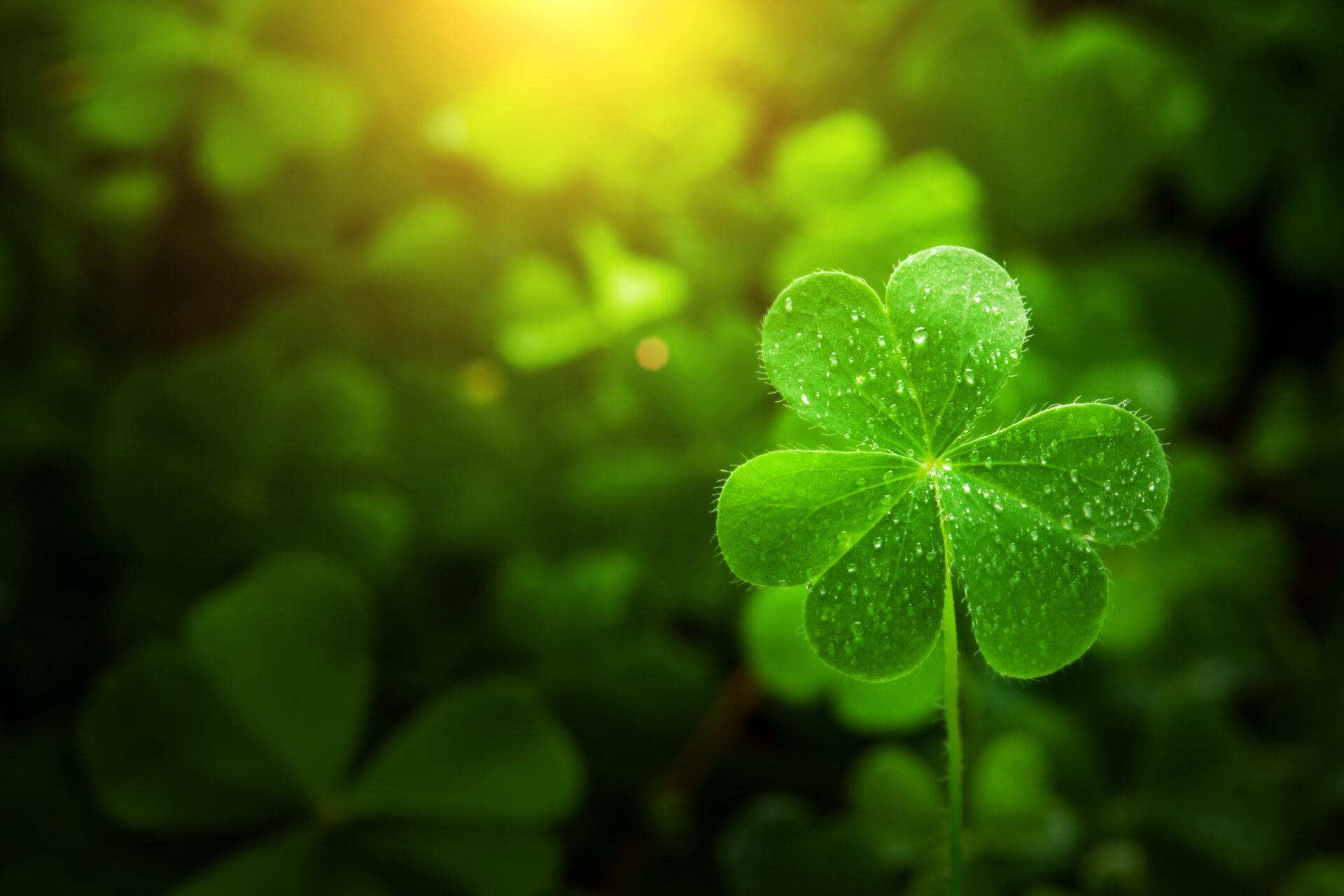Mortgage Roundup (3/17/21) – St. Patrick’s Day Edition