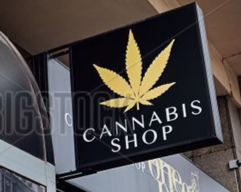 Morning Roundup (2/15/2023) — Will Cannabis Save Commercial Spaces?