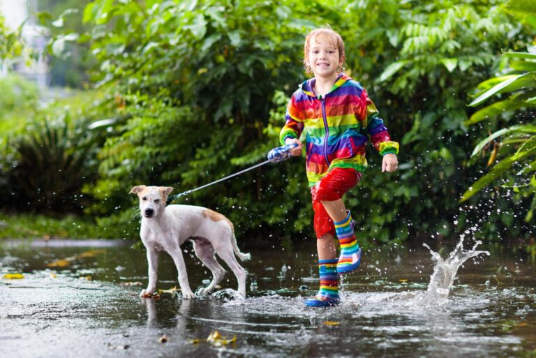 Pets Or Kids: Which Causes More Damage To Your Home?